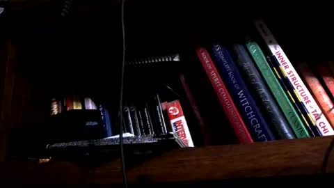 Jerry online show from December 28, 2024, 8:48 am