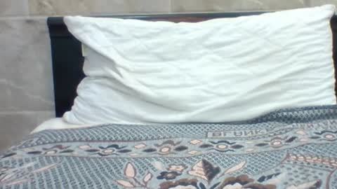 kingjordan122 online show from January 30, 2025, 7:15 pm