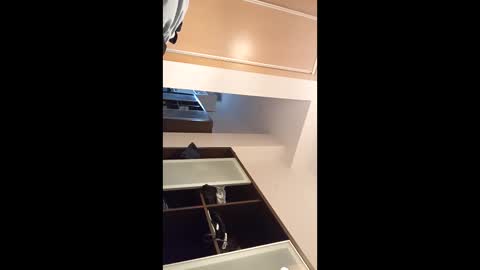 Snapshot of kingnavo chatting on November 7, 2025, 5:35 pm kingnavo online show from November 7, 2025, 5:35 pm