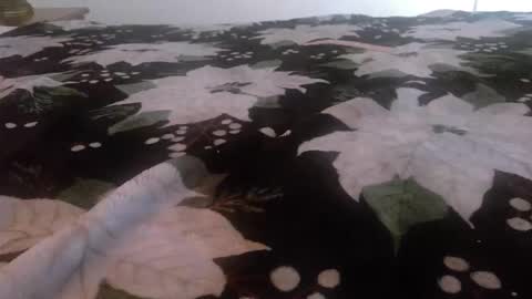 Kinky K80 online show from November 24, 2025, 2:50 pm