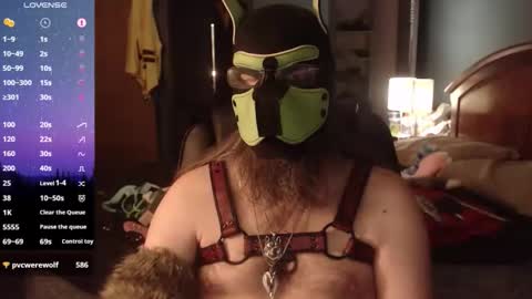 kinkywolf87 online show from May 8, 2026, 12:27 am