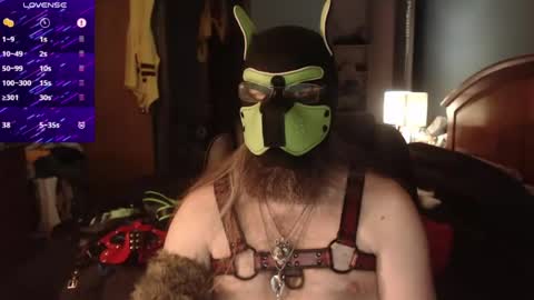 kinkywolf87 online show from June 18, 2026, 12:11 am