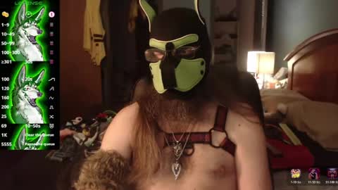 kinkywolf87 online show from July 2, 2026, 12:10 am