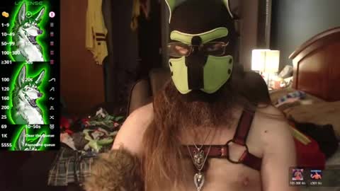 kinkywolf87 online show from July 10, 2026, 3:47 pm