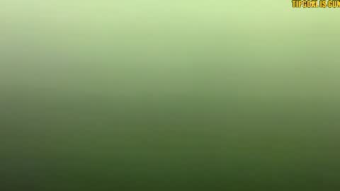 Snapshot of kisskissnya chatting on July 12, 2026, 4:31 pm kisssssssssssss online show from July 12, 2026, 4:31 pm