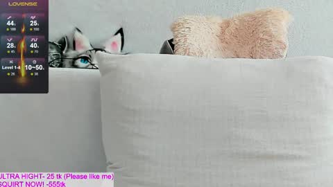 Snapshot of kitty1grey chatting on April 14, 2026, 10:54 am Kitty online show from April 14, 2026, 10:54 am