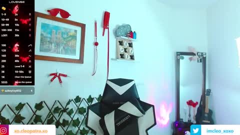 Snapshot of kitty_vaal chatting on March 6, 2025, 9:47 am kitty_vaal online show from March 6, 2025, 9:47 am