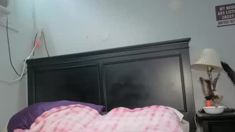 kittykat 1999 online show from February 26, 2026, 5:23 pm