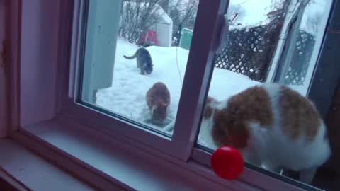 Snapshot of kiveuxmakeu chatting on December 27, 2024, 9:11 pm kiveuxmakeu online show from December 27, 2024, 9:11 pm