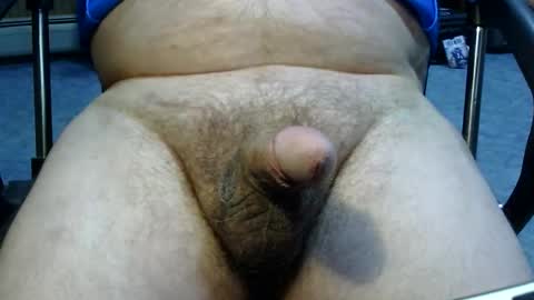 kji2249 online show from April 10, 2026, 2:44 pm