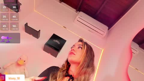 Snapshot of kloey_hoot chatting on January 5, 2025, 11:44 pm Kloey online show from January 5, 2025, 11:44 pm