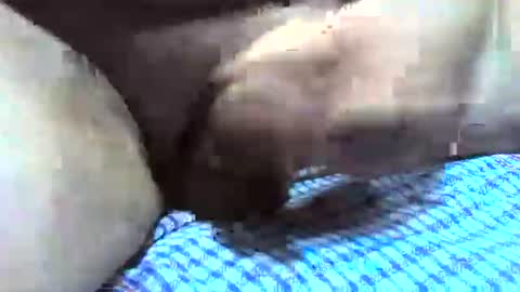 Snapshot of klok8230 chatting on December 16, 2025, 2:38 am klok8230 online show from December 16, 2025, 2:38 am