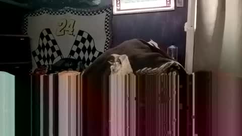 knock2wice1975 online show from January 20, 2025, 4:32 am