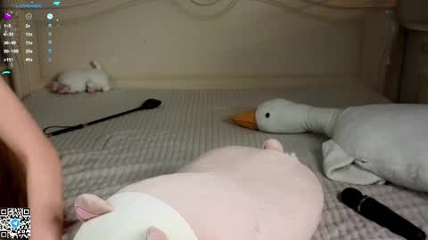 Snapshot of knock_knocks chatting on March 8, 2025, 7:42 pm Sakura Azumi online show from March 8, 2025, 7:42 pm