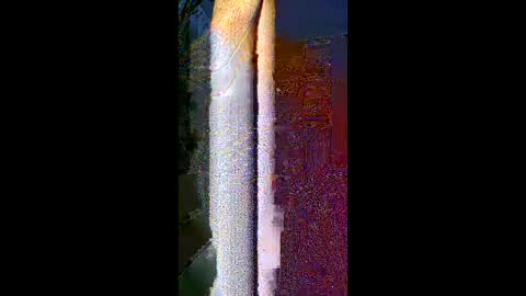 Snapshot of komi235 chatting on February 24, 2026, 8:01 am komi235 online show from February 24, 2026, 8:01 am