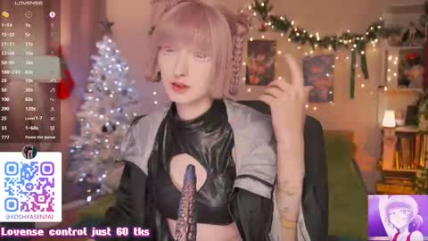 Snapshot of koshkasenpai chatting on January 5, 2026, 5:27 pm koshkasenpai online show from January 5, 2026, 5:27 pm