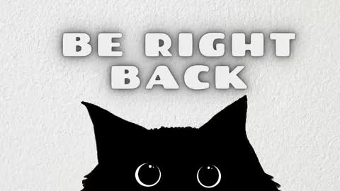   online show from February 8, 2026, 3:43 am