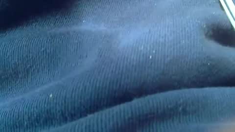 Snapshot of kunio37 chatting on January 4, 2025, 1:42 am kunio37 online show from January 4, 2025, 1:42 am