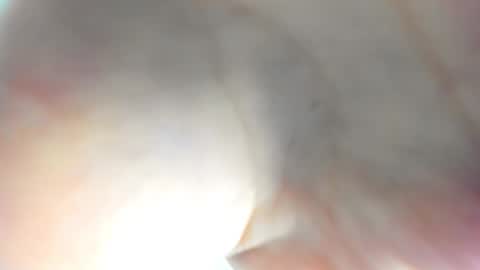 Snapshot of l1l_lola chatting on November 15, 2025, 8:00 am Ameli online show from November 15, 2025, 8:00 am