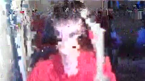 l1v1nth3dr3am online show from July 13, 2026, 12:02 am