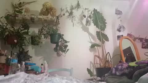 Snapshot of lacybell chatting on December 24, 2024, 6:44 am lacybell online show from December 24, 2024, 6:44 am