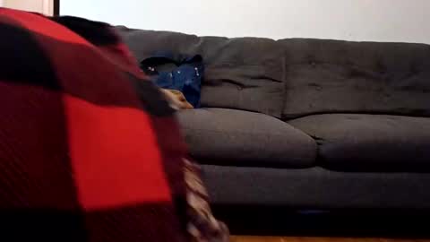 Snapshot of lacybell chatting on February 7, 2025, 10:40 am lacybell online show from February 7, 2025, 10:40 am