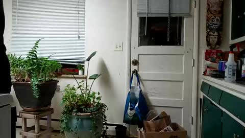 Snapshot of lacybell chatting on February 15, 2025, 5:19 am lacybell online show from February 15, 2025, 5:19 am