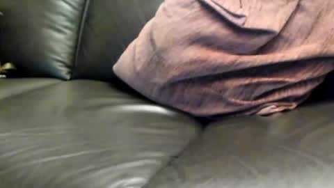 Snapshot of ladyloverwithcock chatting on March 8, 2025, 7:53 pm tomtom online show from March 8, 2025, 7:53 pm