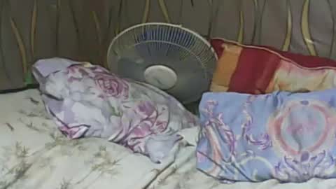 LadyXSnakes online show from February 7, 2025, 6:24 pm