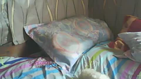 LadyXSnakes online show from February 19, 2025, 7:39 am