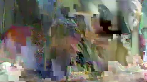 LadyXSnakes online show from February 23, 2025, 3:51 pm