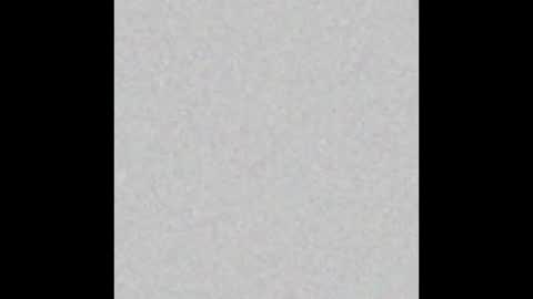  paola and a guest lol    online show from January 20, 2025, 11:24 am