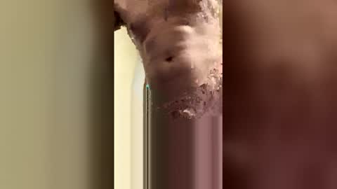 lailajeand online show from April 15, 2026, 4:41 am