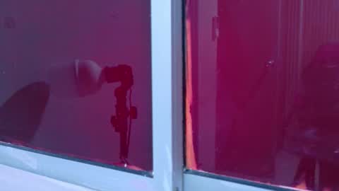 Laura online show from November 25, 2025, 12:05 pm