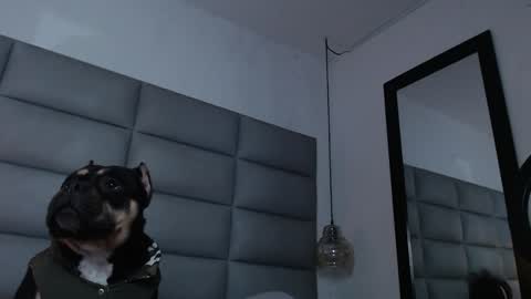 lara online show from December 31, 2024, 12:00 am