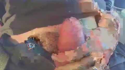 joseph online show from November 29, 2025, 8:39 am