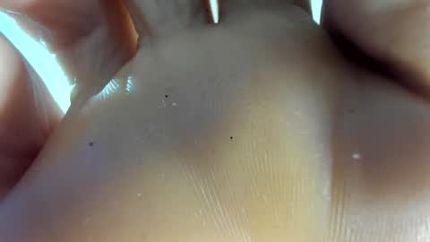 Afrodita online show from November 7, 2025, 12:54 am