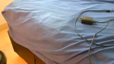 blackBear online show from November 16, 2025, 1:28 pm