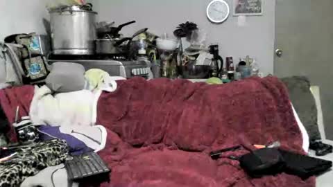 lauradecuada2 online show from February 8, 2026, 4:38 am