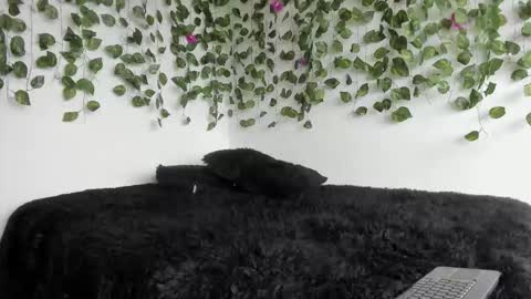 Snapshot of laurensmith9 chatting on March 27, 2026, 2:17 pm laurensmith9 online show from March 27, 2026, 2:17 pm
