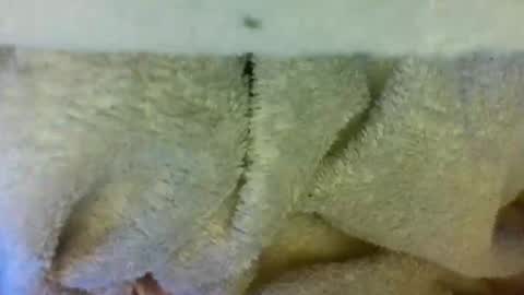 Snapshot of layannalea chatting on April 9, 2026, 6:30 am layannalea online show from April 9, 2026, 6:30 am