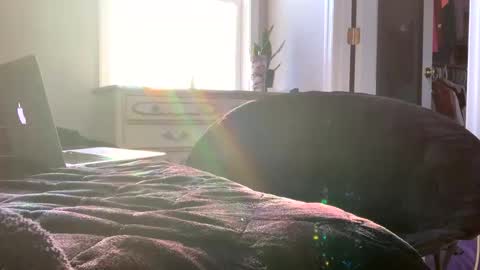 Snapshot of laycee69 chatting on December 20, 2025, 8:38 pm Laycee Layne online show from December 20, 2025, 8:38 pm