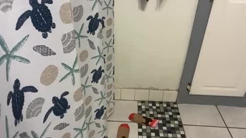 Snapshot of lazyladypug425146 chatting on December 15, 2025, 5:17 pm lazyladypug425146 online show from December 15, 2025, 5:17 pm