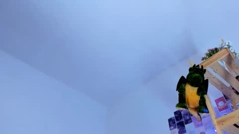 Ellie online show from October 3, 2025, 6:54 am