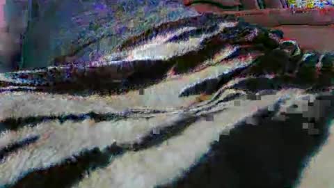 Snapshot of ledmax07 chatting on April 13, 2026, 1:22 am ledmax07 online show from April 13, 2026, 1:22 am