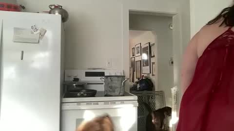 legallybrun91 online show from February 19, 2025, 2:01 pm