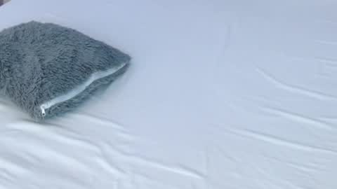 Snapshot of leonacutecam chatting on November 28, 2025, 8:55 pm LUCY online show from November 28, 2025, 8:55 pm