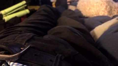 Leon online show from April 10, 2026, 10:47 pm