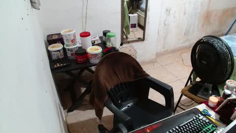 Snapshot of leonino231 chatting on December 15, 2025, 4:06 am leonino231 online show from December 15, 2025, 4:06 am