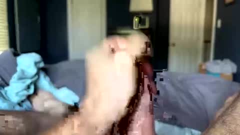 Snapshot of letmecumforyou71 chatting on September 20, 2025, 12:50 pm letmecumforyou71 online show from September 20, 2025, 12:50 pm